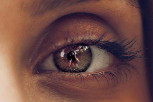 das menschliche Auge - Sehen